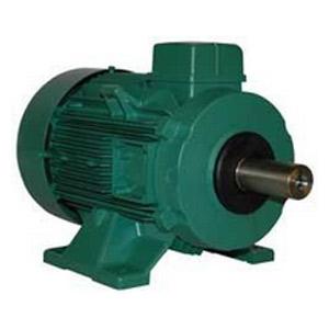 Moteurs électriques à pattes