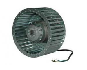 Moto Turbines