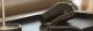 SECHE-CHEVEUX PISTOLET PLIABLE LINEO JVD